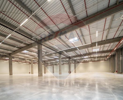 Spațiu industrial Bratuleni, 1600 mp