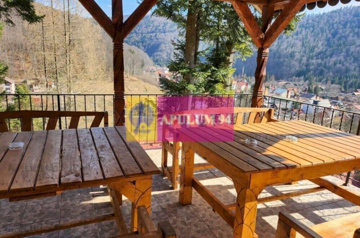 Pensiune de vânzare în Bușteni - Zonă deosebită anunturi imobiliare Prahova