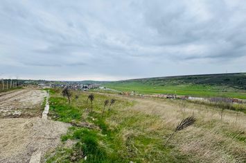 Teren de vanzare IASI - Iasi anunturi imobiliare Iasi