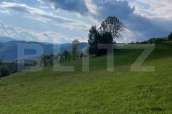 Teren de vanzare PONOREL - Alba anunturi imobiliare Alba