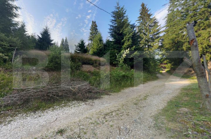 Teren de vanzare CLUJ-NAPOCA - Cluj anunturi imobiliare Cluj