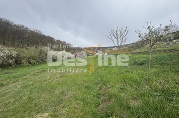 Teren de vanzare DEVA - Hunedoara anunturi imobiliare Hunedoara