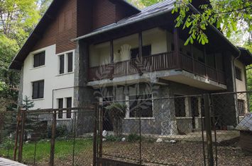 CASA DE VACANTA//CORNU DE JOS anunturi imobiliare Prahova