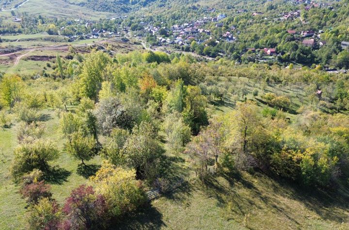 Teren de vanzare TARGOVISTE - Dambovita anunturi imobiliare Dambovita