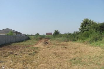 Teren Intravilan de vanzare DN6 - SOS. BUCURESTI-ALEXANDRIA - Bucuresti anunturi imobiliare Bucuresti