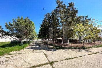 Teren de vanzare BRADESTI - Dolj anunturi imobiliare Dolj