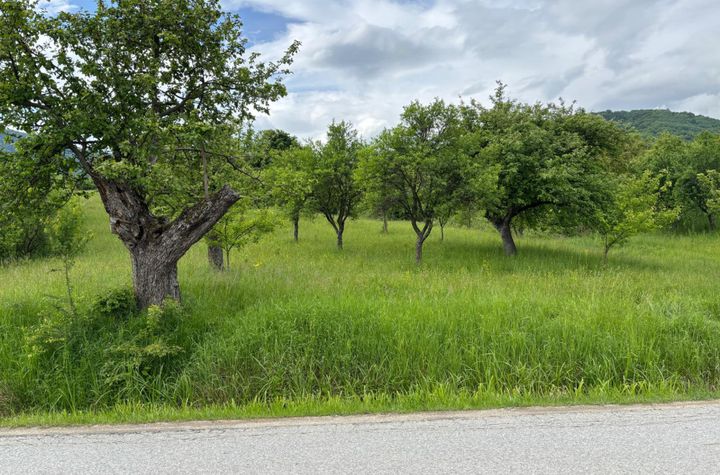 Teren de vanzare SIBIEL - Sibiu anunturi imobiliare Sibiu