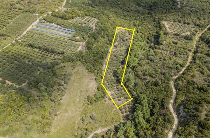 Teren 3375 mp, 150 m de mare, Loutra Eleftheron anunturi imobiliare Grecia