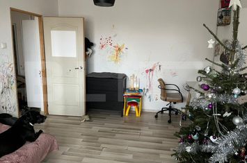 Apartament 2 camere de vanzare ASTRA - Brasov anunturi imobiliare Brasov