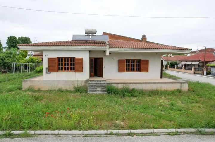 Casă independentă 150 mp în Ampelakia, teren 805 mp anunturi imobiliare Grecia