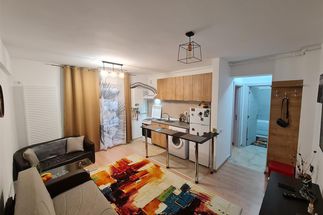 Apartament 2 camere de vânzare Timis - Victor Vlad Delamarina