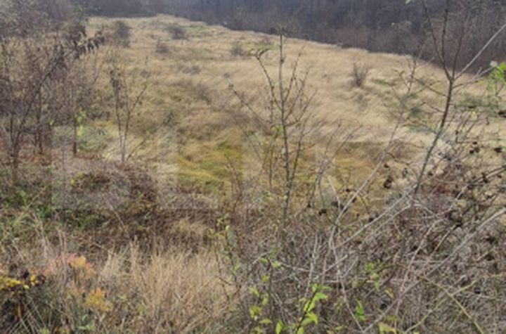 Teren de vanzare ALBA IULIA - Alba anunturi imobiliare Alba