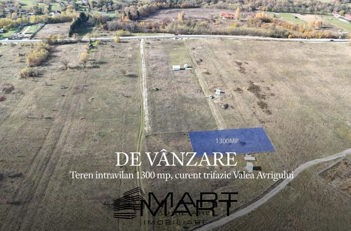 Teren de vanzare AVRIG - Sibiu anunturi imobiliare Sibiu
