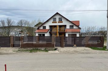Vilă - 4 camere de vanzare LIVEZENI - Mures anunturi imobiliare Mures