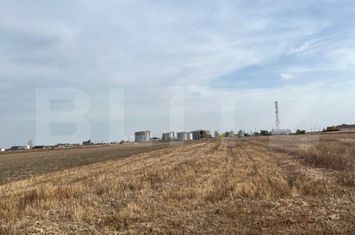 Teren de vanzare GHERCESTI - Dolj anunturi imobiliare Dolj