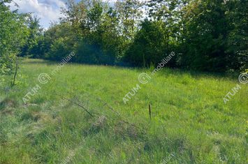 Teren Intravilan de vanzare AVRIG - Sibiu anunturi imobiliare Sibiu
