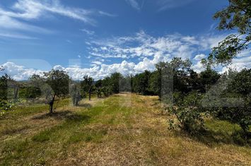 Casă - 2 camere de vanzare VINTU DE JOS - Alba anunturi imobiliare Alba