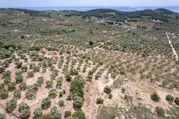 Teren 5.230 mp cu casă legală în Astrida, Thassos anunturi imobiliare Grecia