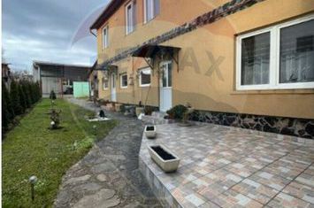 Apartament spațios-3 camere-la curte în Turnișor-Inchiriere anunturi imobiliare Sibiu