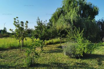 Casă - 3 camere de vanzare DOMNESTI - Bucuresti anunturi imobiliare Bucuresti