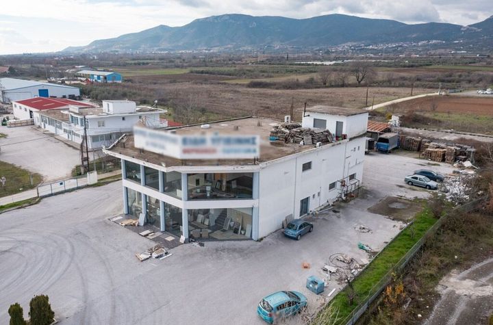 Spațiu industrial-comercial 1.200 mp, teren 4.150 mp anunturi imobiliare Grecia