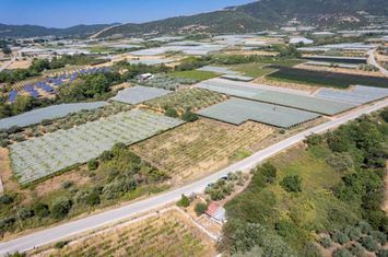 Teren construibil 4.483 mp în Mirtofito, Kavala anunturi imobiliare Grecia