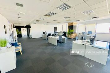 Birou de inchiriat DECEBAL - Bucuresti anunturi imobiliare Bucuresti