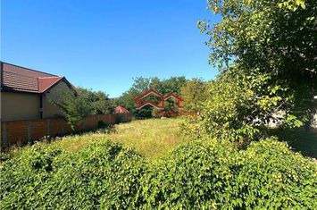 Teren Intravilan de vanzare GORANU - Valcea anunturi imobiliare Valcea