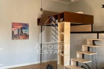 Apartament cu o camera in centul orasului,centrala proprie!!! anunturi imobiliare Timis