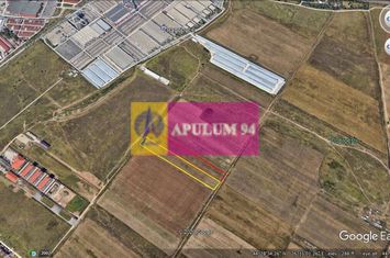 7500 mp teren Fundeni-Dobroesti-stejarului anunturi imobiliare Bucuresti