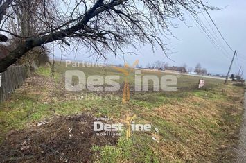 Teren de vanzare DOINA - Neamt anunturi imobiliare Neamt