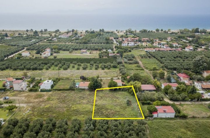 Teren 1000 mp, Paralia Orfaniou — 550 metri de mare anunturi imobiliare Grecia