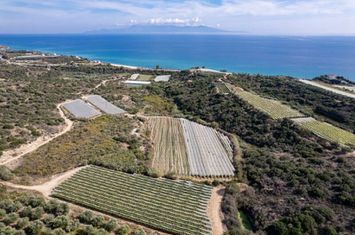 Teren 7.250 mp în Paralia Elaiochoriou anunturi imobiliare Grecia