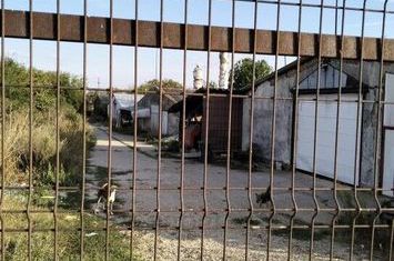 Hala  597 mp + teren in suprafata de 1071 mp , BRADESTI, judetul Dolj ( DN 6) anunturi imobiliare Dolj