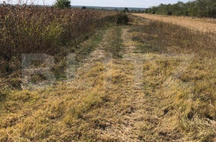 Teren de vanzare TARGOVISTE - Dambovita anunturi imobiliare Dambovita