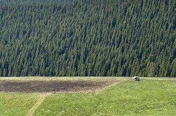 Teren 3.000 mp Măgurele — ideal pentru ansamblu de case / dezvoltare anunturi imobiliare Bucuresti