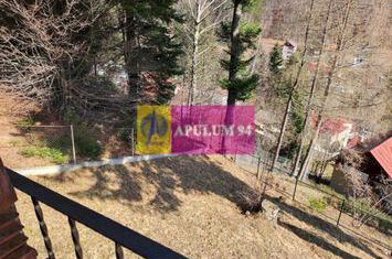 Pensiune de vânzare în Bușteni - Zonă deosebită anunturi imobiliare Prahova