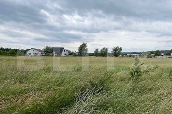 Teren de vanzare POPOVENI - Dolj anunturi imobiliare Dolj