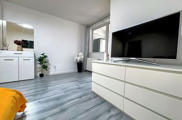 Titan - Costin Georgian Metrou 3 minute Garsoniera renovata mobilata anunturi imobiliare Bucuresti