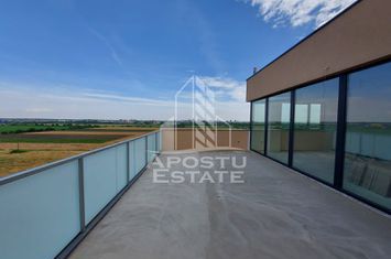 Penthouse cu terasa de 70 mp , zona Torontalului anunturi imobiliare Timis