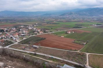 Teren construibil 10.153 mp în Doxato, Drama anunturi imobiliare Grecia