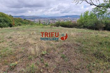 Teren Intravilan de vanzare CETATE - Alba anunturi imobiliare Alba