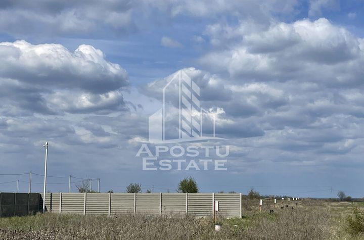 Parcele cu toate utilitatile, intre 617si670mp, PUZ NOU, Mosnita Noua anunturi imobiliare Timis