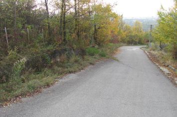 Telega Prahova anunturi imobiliare Prahova