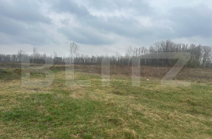 Teren de vanzare SUCEAVA - Suceava anunturi imobiliare Suceava