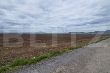 Teren de vanzare HARMAN - Brasov anunturi imobiliare Brasov