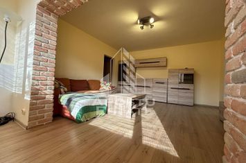 Apartament cu 3 camere, centrala proprie, zona Dambovita, PET FRIENDLY anunturi imobiliare Timis