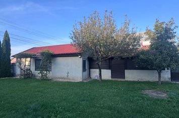 Casă - 3 camere de vanzare HORODNIC - Suceava anunturi imobiliare Suceava