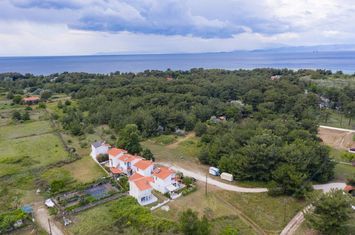 Teren 3.228,87 mp în Skala Prinos (Dasaki) anunturi imobiliare Grecia