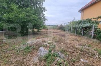 Casă - 2 camere de vanzare BERCU NOU - Satu Mare anunturi imobiliare Satu Mare